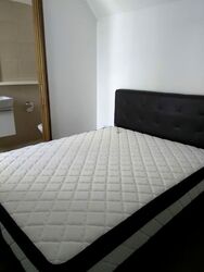 The Miltonia Residences (D27), Condominium #566353601